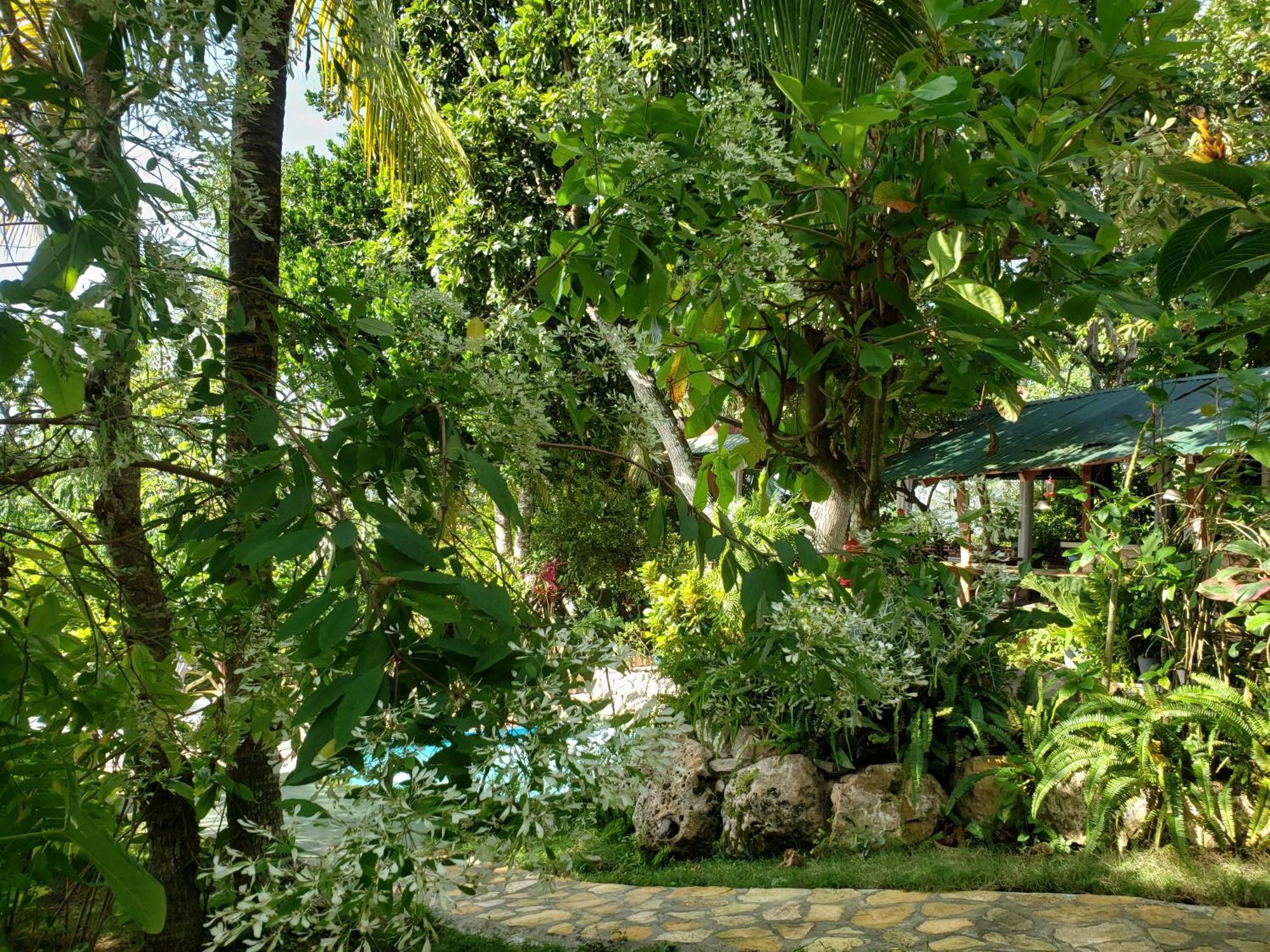 Zapote Tree Inn Flores Exteriör bild