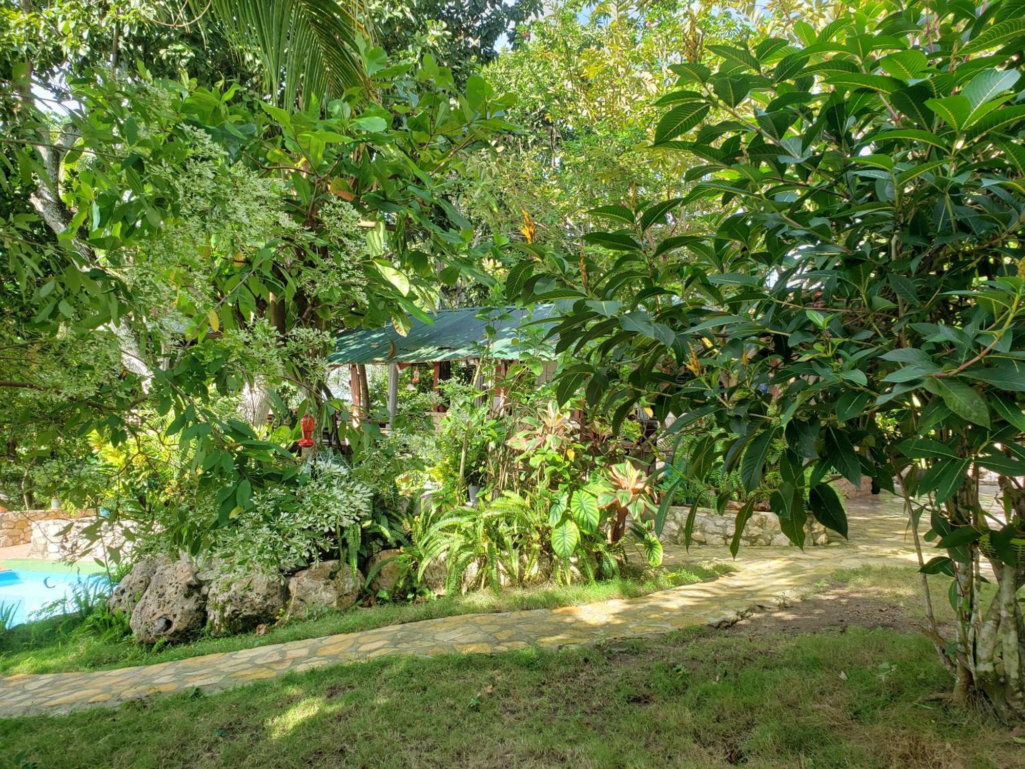 Zapote Tree Inn Flores Exteriör bild