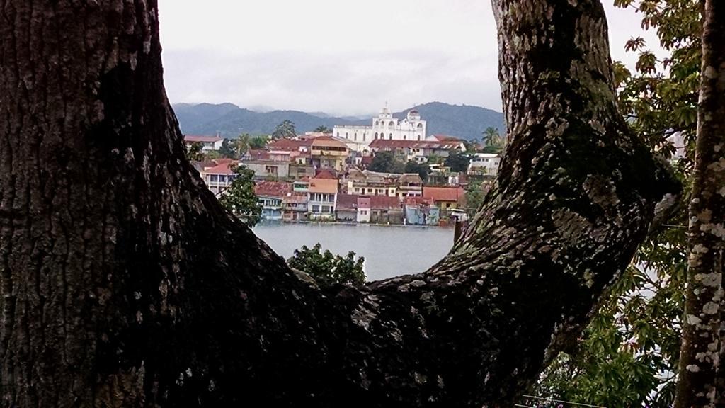 Zapote Tree Inn Flores Exteriör bild