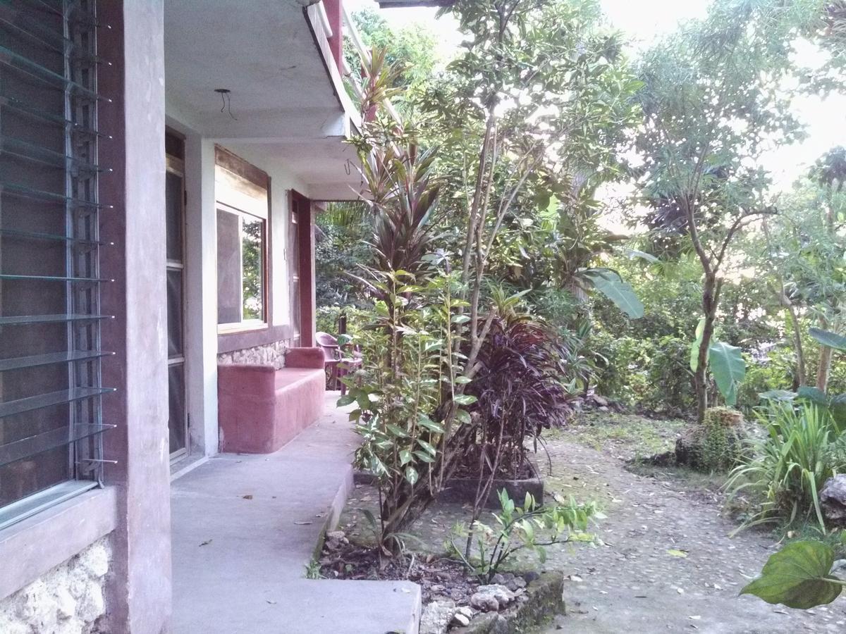 Zapote Tree Inn Flores Exteriör bild