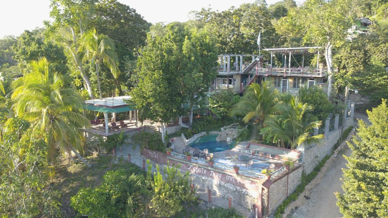 Zapote Tree Inn Flores Exteriör bild