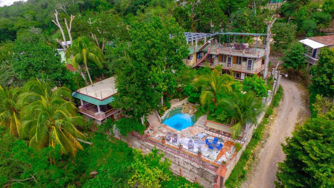 Zapote Tree Inn Flores Exteriör bild